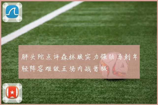 胖头陀点评森林狼实力强劲马刺年轻阵容难敌五场内战晋级